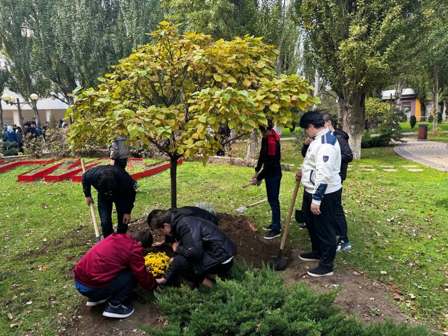 Аллея первокурсников